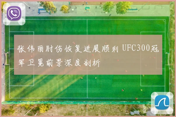 张伟丽肘伤恢复进展顺利 UFC300冠军卫冕前景深度剖析
