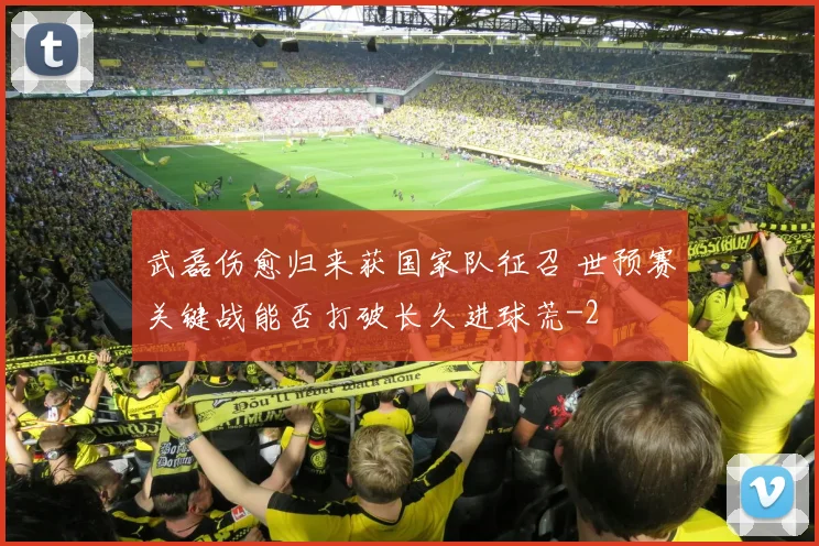 武磊伤愈归来获国家队征召 世预赛关键战能否打破长久进球荒