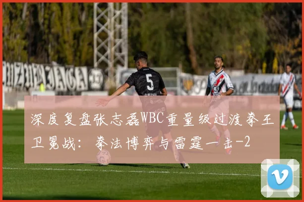 深度复盘张志磊WBC重量级过渡拳王卫冕战：拳法博弈与雷霆一击